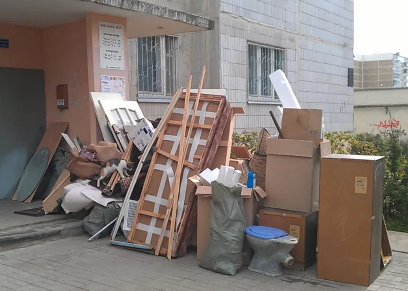 Профессиональный вывоз мусора из квартиры в Алейске в октябре