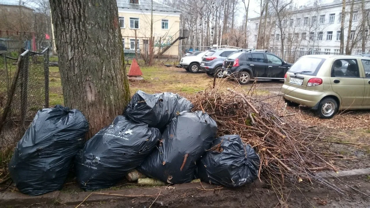 Вывоз мусора после субботника в Алейске от ПроМусор – уборка и утилизация отходов от 2423 руб