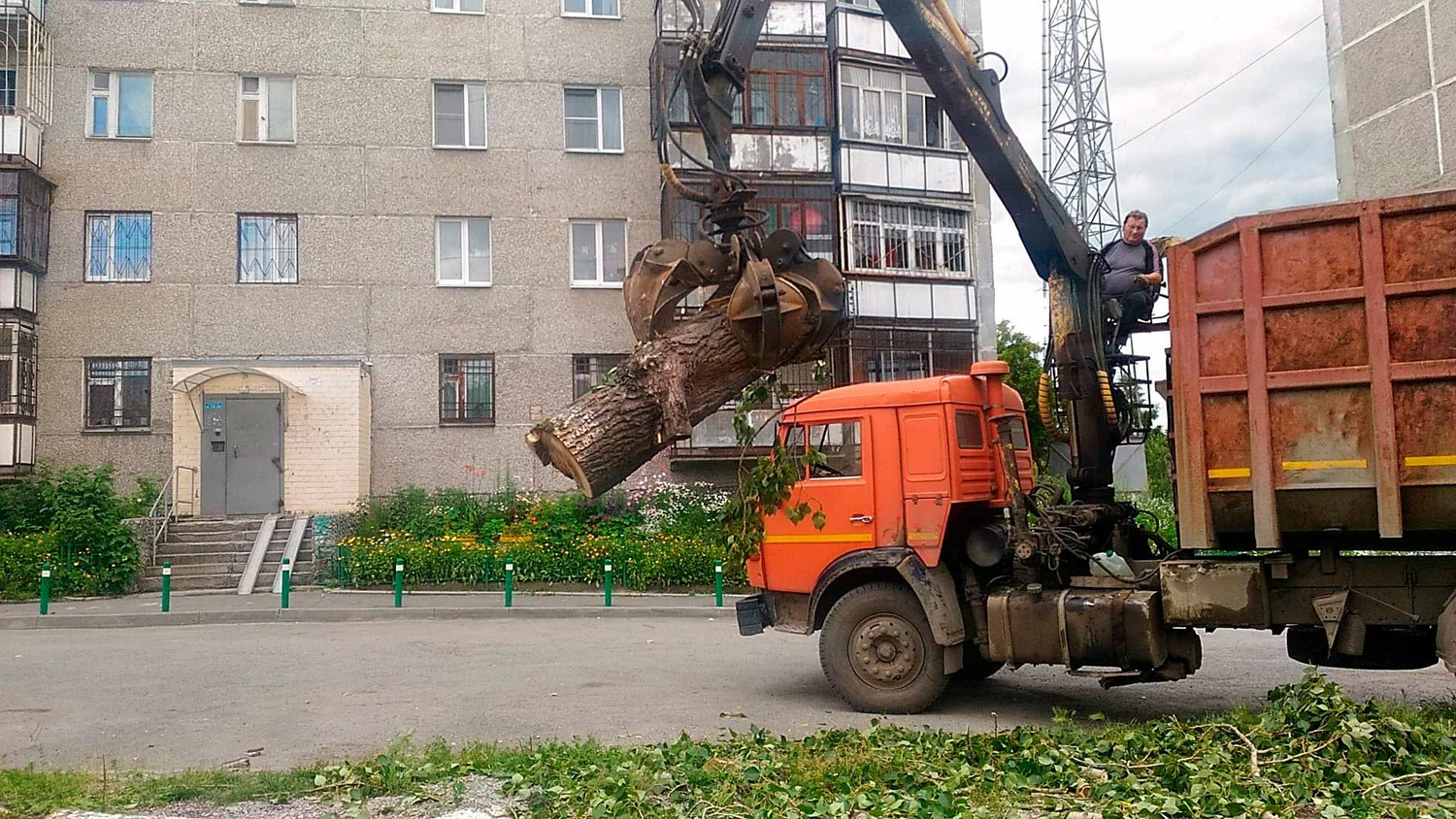 Вывоз спиленных веток и деревьев в Алейске от ПроМусор: порубочные остатки, утилизация, цена от 2990 руб