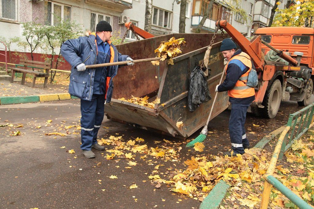 Вывоз опавшей листвы и растительного мусора в Алейске от ПроМусор – цена от 4640 руб., быстрая уборка и утилизация